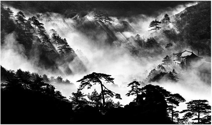 2017 �꼯���������չ�����Ӱ��չ����Ŀ����!