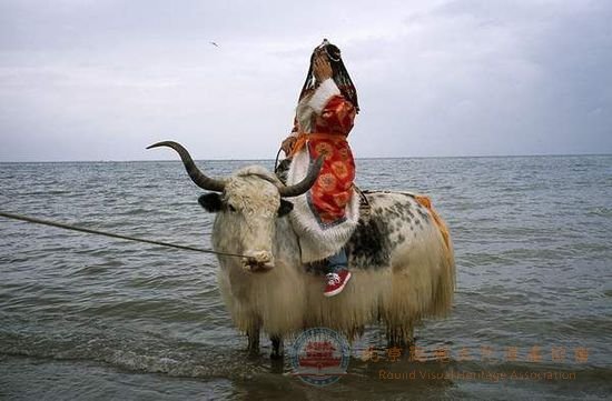 �����Ӱʦ����1995����й�